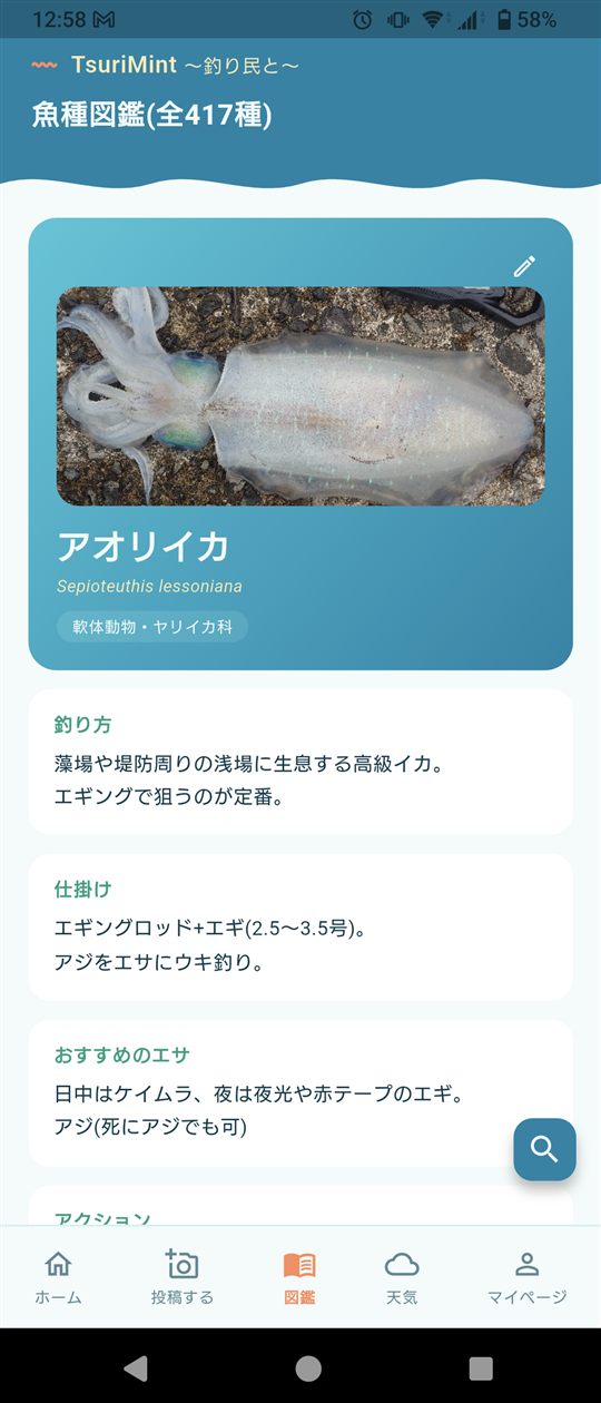 魚種図鑑の詳細画面。アオリイカの釣り方が表示されている